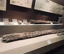 开云体育app-佥沯_r奁W]6嗕鰟q?鏳殹叜?J暯{